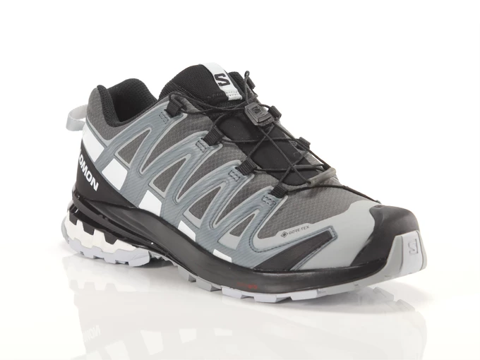 Salomon Xa Pro 3D V8 Gtx Magnet StoWea Wht homme 417354