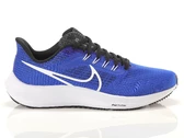 Nike Air Zoom Pegasus 39 man DH4071 400