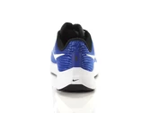 Nike Air Zoom Pegasus 39 man DH4071 400