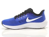 Nike Air Zoom Pegasus 39 man DH4071 400