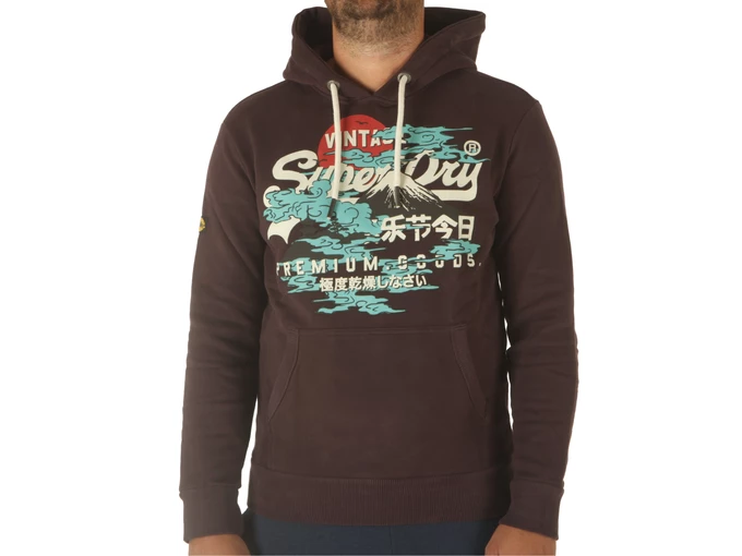 Superdry Japanese Vl Graphic Hoodie Winter Berry man M2013390A 5QR
