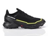 Salomon Alphacross 5 Gtx Black Peat Sulphr man 474604