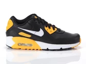 Nike Air Max 90 Ltr Gs woman/child CD6864 026