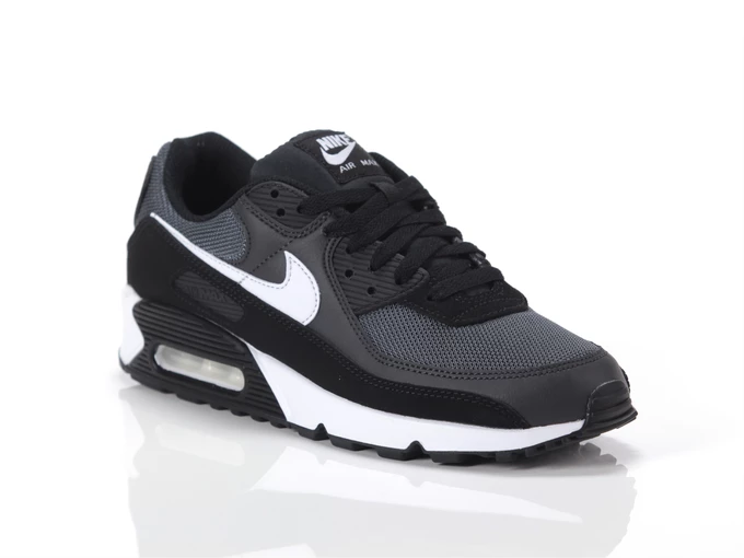 Nike Air Max 90 365 man CN8490 002