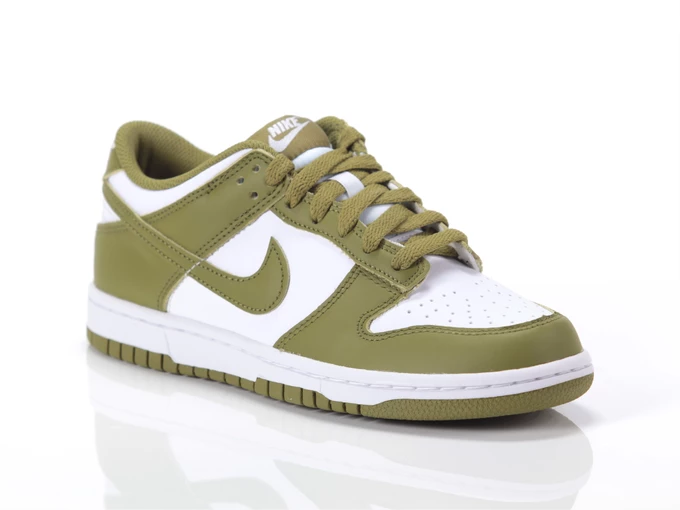 Nike NIKE DUNK LOW GS femme/garçons FB9109 108