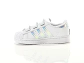 Adidas Superstar Cf C kid boy FV3655